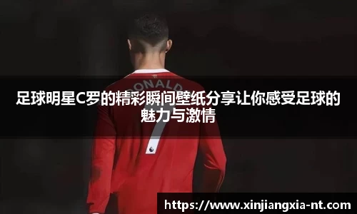 zoty中欧官方网站